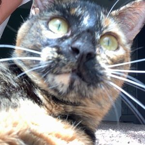 Meet your Posher, Abby